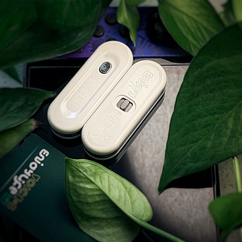 VOICE S